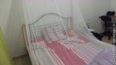 Mon lit équipé d'une moustiquaire avec répulsif pour tissus!